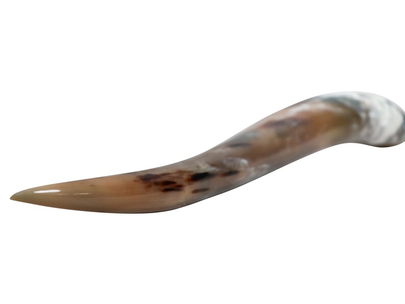 May include: A brown and white horn with a curved shape. The horn has a smooth, polished surface and a pointed tip.