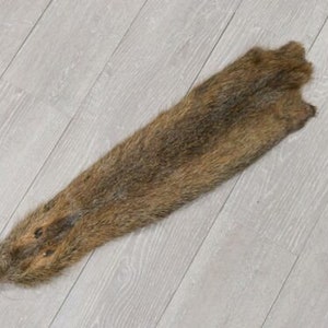 May include: A brown and tan animal fur pelt with a long, thin shape. The fur is soft and fluffy, and the pelt is in good condition.