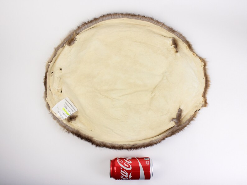 L18 Medium Beaver Skin #1#2 grade 50-1-M-G3230 Gallery