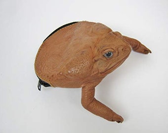 Natural Brown Cane Toad Coin Pouch (1019-10L-NA)