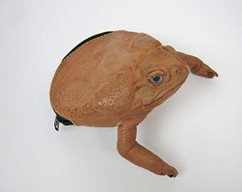 Natural Brown Cane Toad Coin Pouch (1019-10L-NA) Y2I