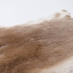 Rex Rabbit Skin: Natural Brown and White, Beige (142-12-G1354) Y2E - Etsy