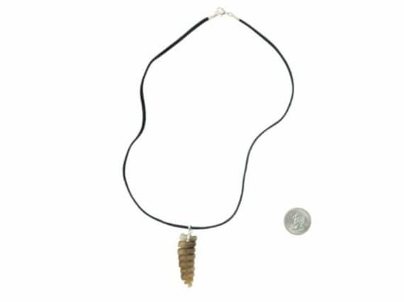 Real Rattlesnake Rattle Necklace Black Silver 598 J31BKS Y2L Etsy UK