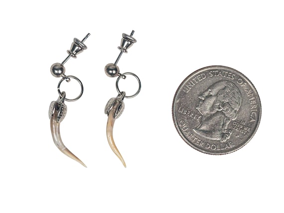 Real Rattlesnake Fang Earrings Pair: Silver Color (598-J21-P