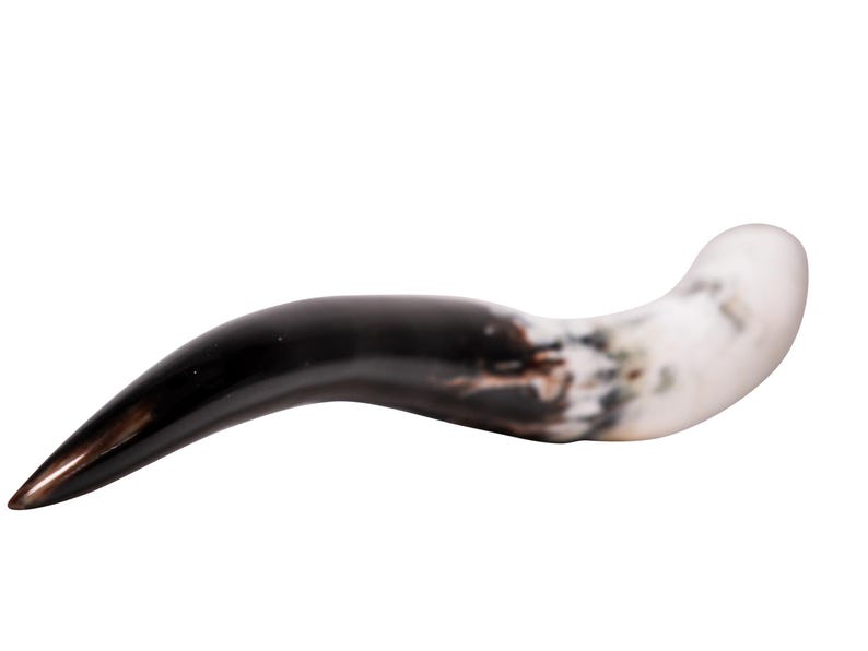 May include: A curved, horn-shaped object with a polished finish. The object transitions from a dark, glossy black to a marbled white and brown color. The horn curves gently, with a pointed tip.