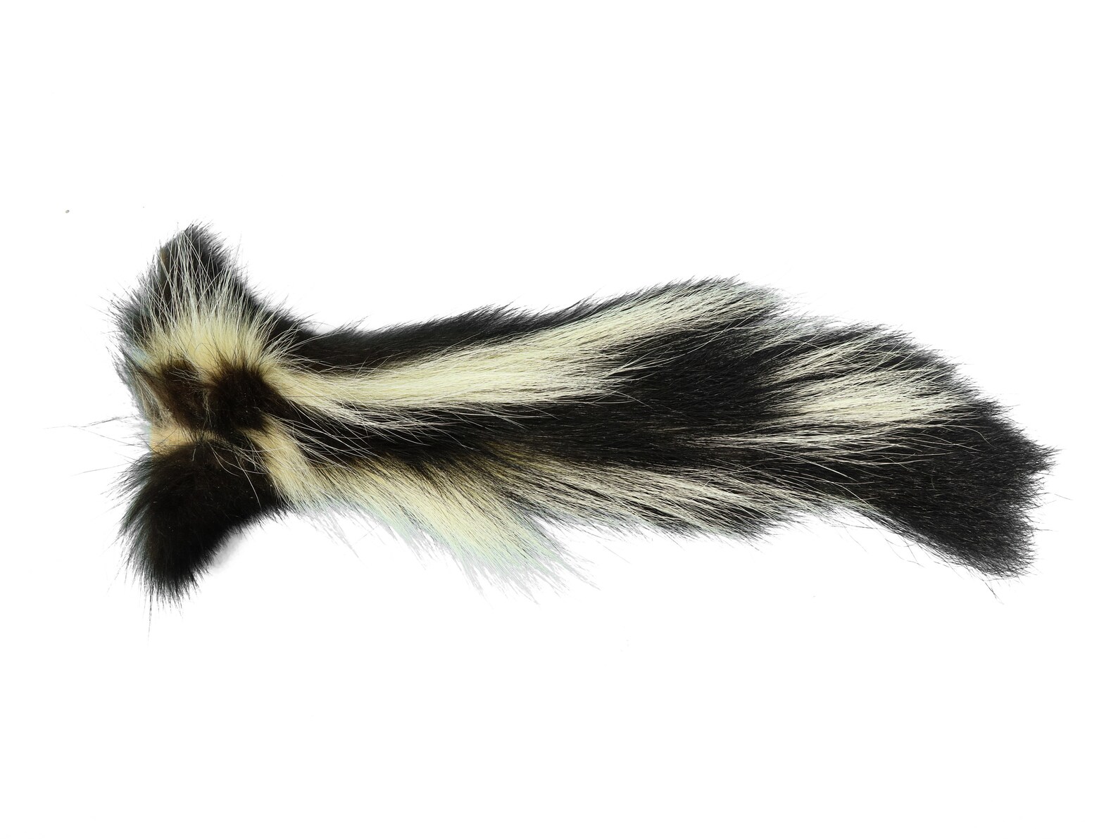 Real Tanned Premium XL Skunk Tail 18-SK-G4261 9UL1 | Etsy