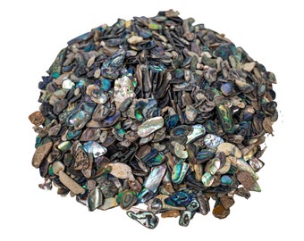 Random Assorted Paua Abalone Shell Pieces Satin: Extra Fine 1/4 Lb