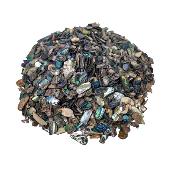 PAUA 様 Random Assorted Paua Abalone Shell Pieces Satin: Extra Fine 1/4 Lb