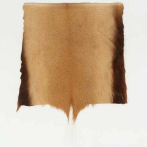 Natural Springbok Skin 12&quot;x12&quot; Project Piece (155-PP-G03) Y2P
