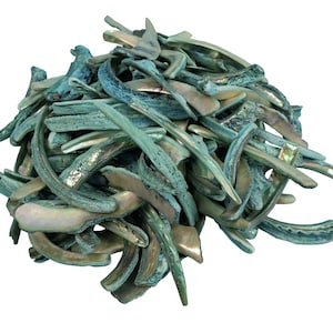 May include: A pile of iridescent green and brown seashells, some are curved and some are flat.