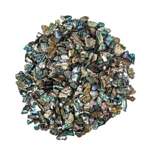 Abalone Paua NZ Shell Pieces 40g / Approx 20 Pcs of Irregular