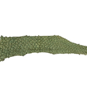 Glazed Carp Leather: Seaform (870-4G-24) Y1L