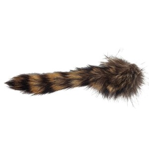 May include: A brown and black raccoon tail with long, soft fur.