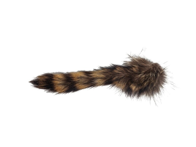 May include: A brown and black raccoon tail with long, soft fur.