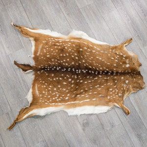 Axis Deer Hide: Medium (488-M-G6212) Y1H