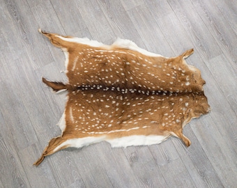 Axis Deer Hide: Medium (488-M-G6212)