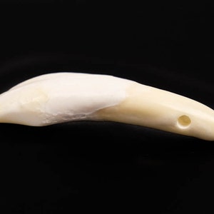 403-10 10UB1 Real Water Buffalo Rib