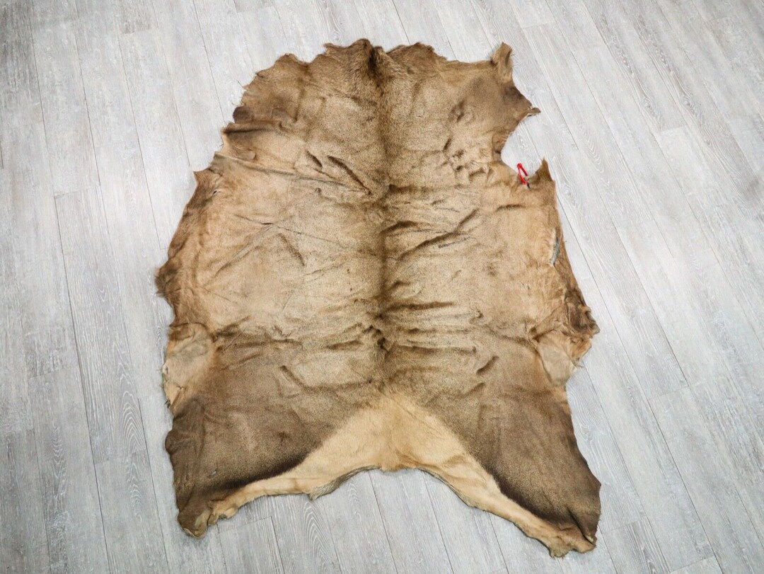 Tanned Elk Hide Gallery 43G3255 10UF Etsy