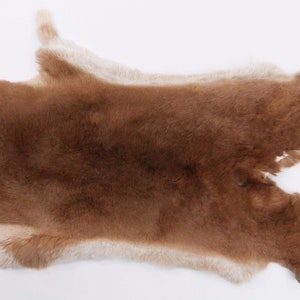 Rex Rabbit Skin: Natural Brown and White, &quot;Orange&quot; (142-14-G1357) Y2E