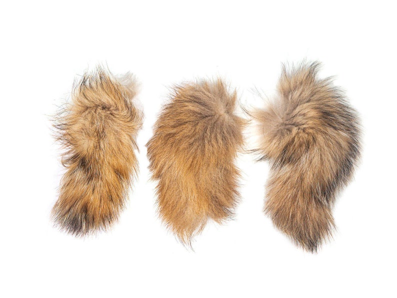 Extra Large Badger Tail (18-01-XL) / image 2