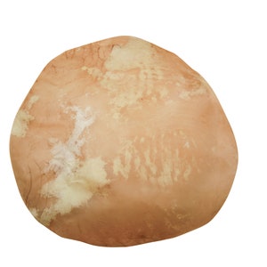 33-36&quot; Diameter Horse Rawhide Disc Drum Head (55-90-36) Y2J