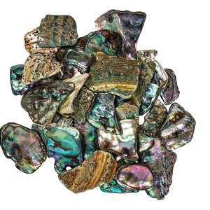 May include: A collection of iridescent abalone shell pieces in various shapes and sizes. The shells have a mix of green, blue, and brown colors with a pearlescent sheen.