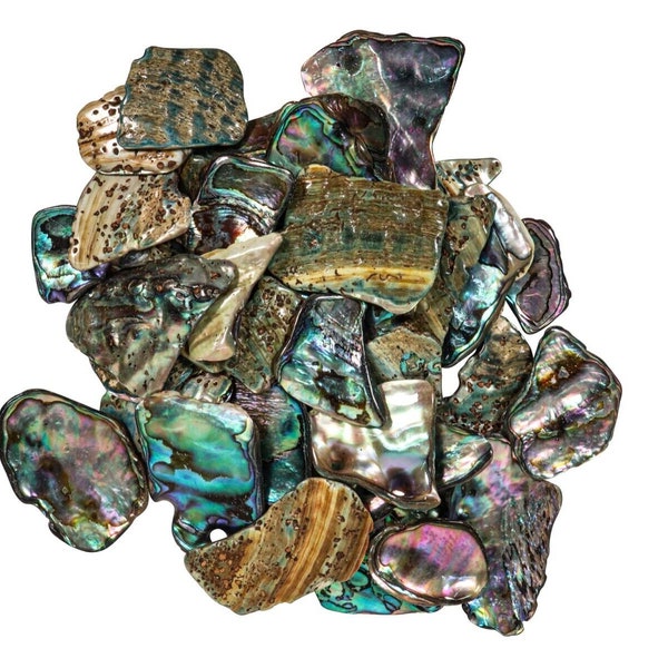 Highly Polished Paua Abalone Shell Pieces: Medium 25-45mm 1/4-lb Bag (565-TPHPM-4) Y3L