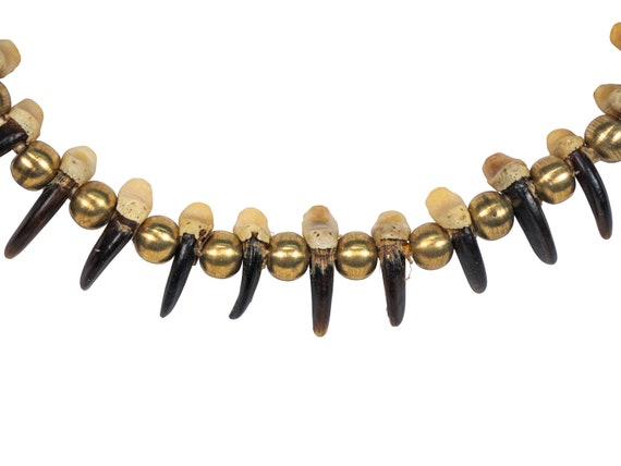 Native Assembled Real Iroquois Coyote Claw Necklace: 20-claw
