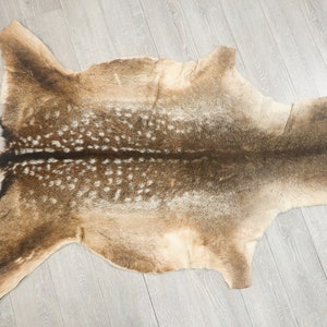 May include: A brown and white deer hide rug with a spotted pattern. The rug is laid out flat on a light wood floor.