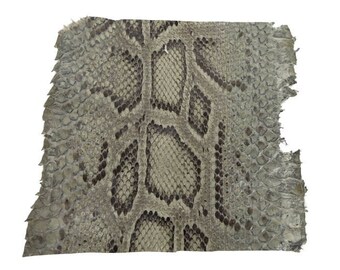 Snake Skin Pelt - Etsy