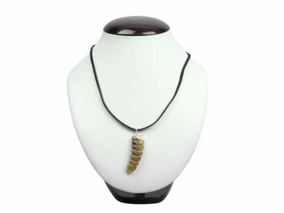 Rattlesnake Pendant | Necklace | Sterling Silver | Anisa Stewart