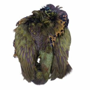 May include: A bunch of pheasant feathers in shades of green, brown, and purple. The feathers are arranged in a loose bundle, with the tips of the feathers pointing in different directions.