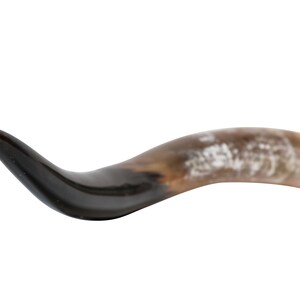 Puede incluir: Un shofar, un cuerno ceremonial jud&iacute;o tradicional, hecho de cuerno de carnero.