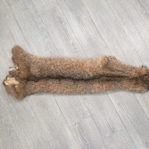Real Bobcat Skin: Trading Post Quality (338-TP-G6264) Y2K