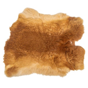 Grade #2/#3 Fawn Czech Breeder Rabbit Skin (283-2-CZNFA-G6063) Y3L