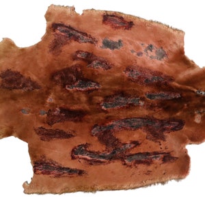 Dyed & Sheared Acid-Washed Beaver Skin (50-55-G4494) Y1L