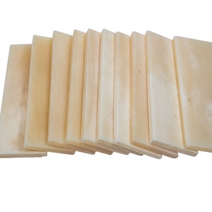 May include: A stack of ten off-white bone guitar nut blanks. The blanks are rectangular and have a smooth, polished surface.