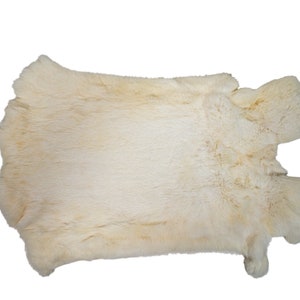 Jumbo Czech Rabbit Skin #1 quality: White (CB-283-1-CZW-G6289) Y2H