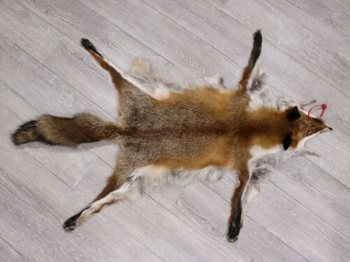 サガフォックス SAGA FOX ROYAL シルバーフォックス 狐 毛皮