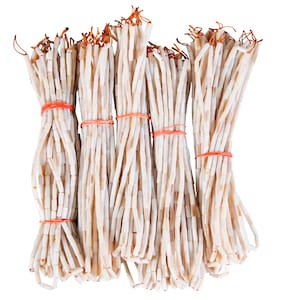May include: Several bundles of off-white, rectangular beads are tightly bound with orange rubber bands. The beads have a slightly irregular shape and are strung together. The ends of the beads have a darker, brownish hue.