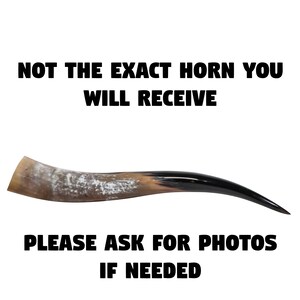 Puede incluir: Un cuerno de vaca marr&oacute;n y negro con una punta blanca. El cuerno es curvo y tiene una superficie lisa. El texto "NOT THE EXACT HORN YOU WILL RECEIVE" est&aacute; en la parte superior de la imagen. El texto "PLEASE ASK FOR PHOTOS IF NEEDED" est&aacute; en la parte inferior de la imagen.