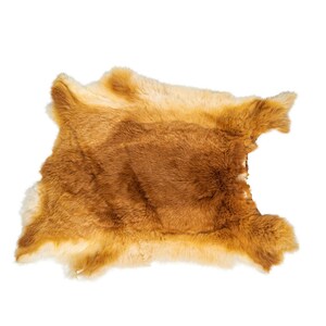 Grade #1/#2 Fawn Czech Breeder Rabbit Skin (283-1-CZNFA-G4854) Upstairs