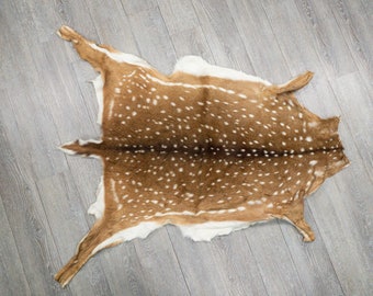 Axis Deer Hide: Large (488-L-G6215)