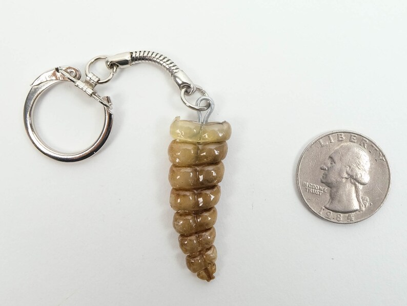 Rattlesnake Rattle Keychain 4231 C4C Etsy