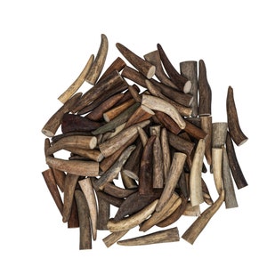 One Pound of Caribou Antler Tips: Small (74-10-S) Y2H