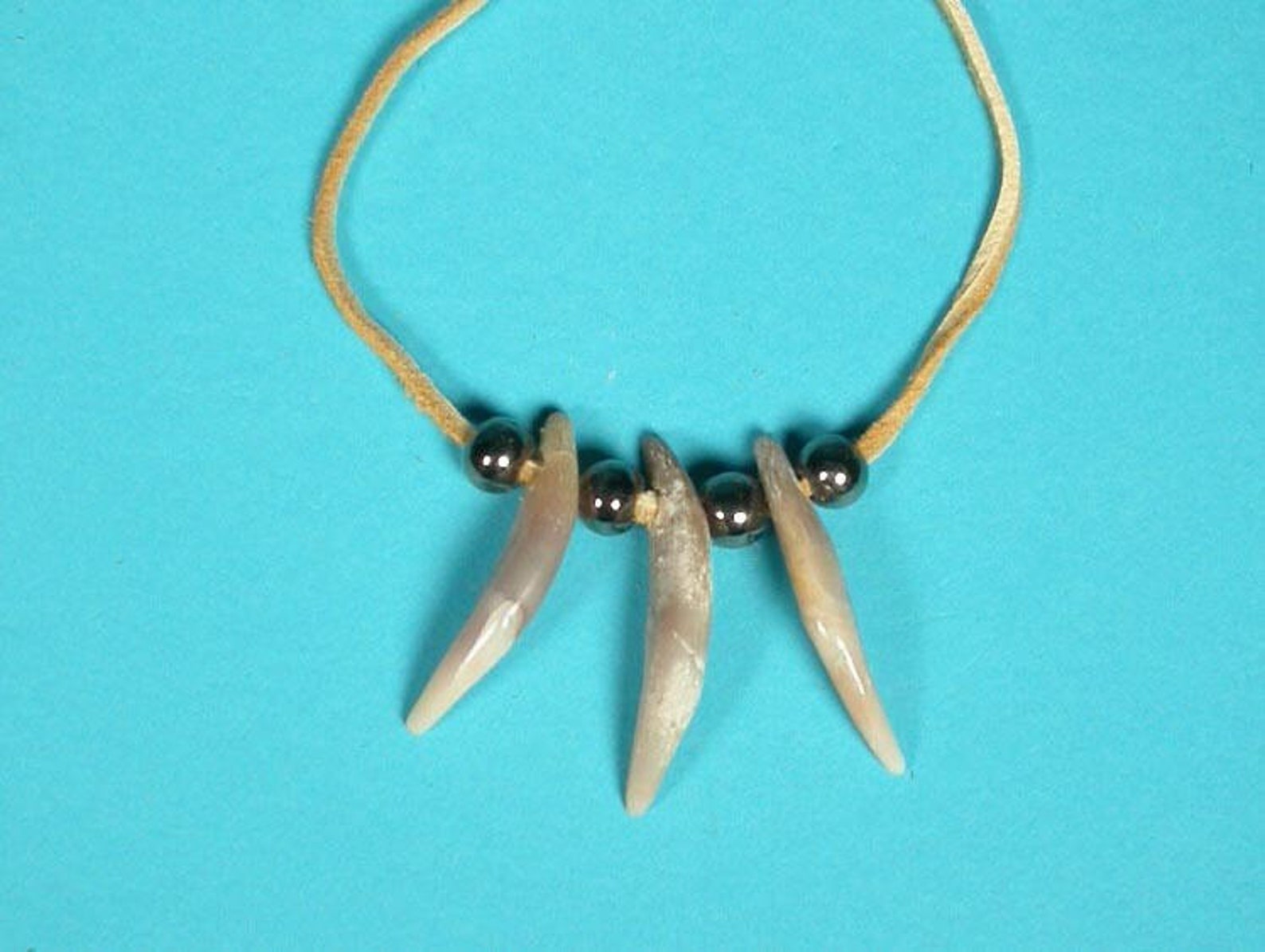 Real Coyote Tooth Necklace 3tooth 560903 D1 Etsy