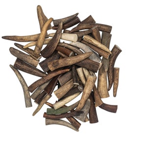 One Pound of Caribou Antler Tips: Medium (74-10-M) Y2H