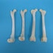 see more listings in the Other Animal Parts section