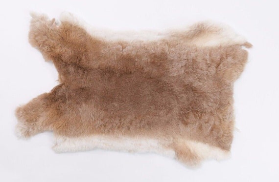 【希少】DEVOA.×GUIDI Neck Parts Rex Rabbit. Rex Rabbit Skin: Natural Brown and White, Beige (142-12