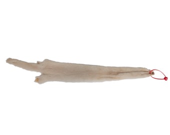 Female Ranch Mink Skin: Pearl (28-F-PE-G1253)
